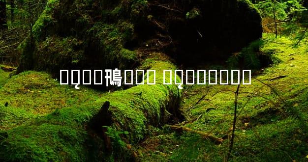 ��̨��鳵��ҵ ��̨�����⳵